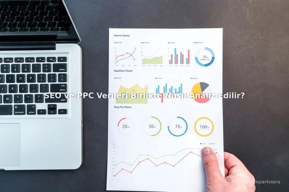 SEO ve PPC Verileri Birlikte Nasıl Analiz Edilir?