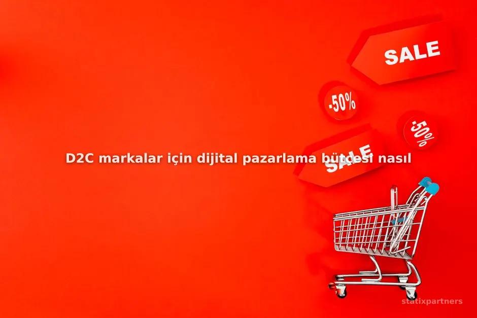 D2C markalar için dijital pazarlama bütçesi nasıl optimize edilir?